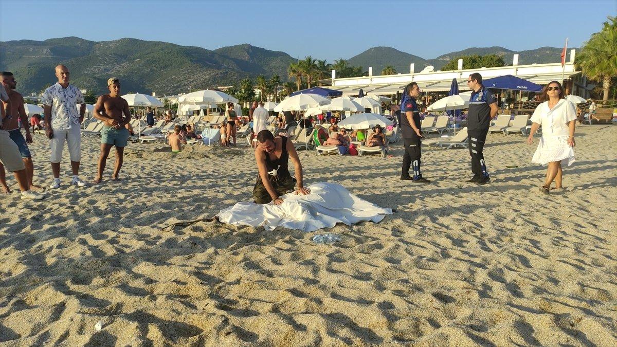Antalya'da sahibiyle birlikte denize giren eşek boğuldu