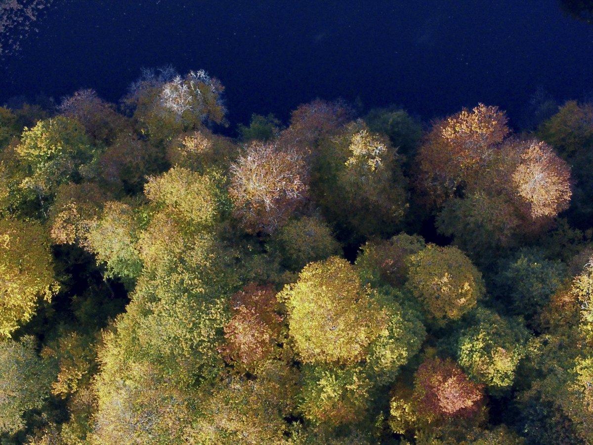 Yedigöller Milli Parkı renkli manzaralar oluşturdu