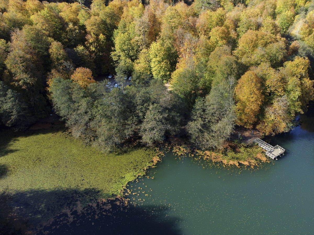 Yedigöller Milli Parkı renkli manzaralar oluşturdu