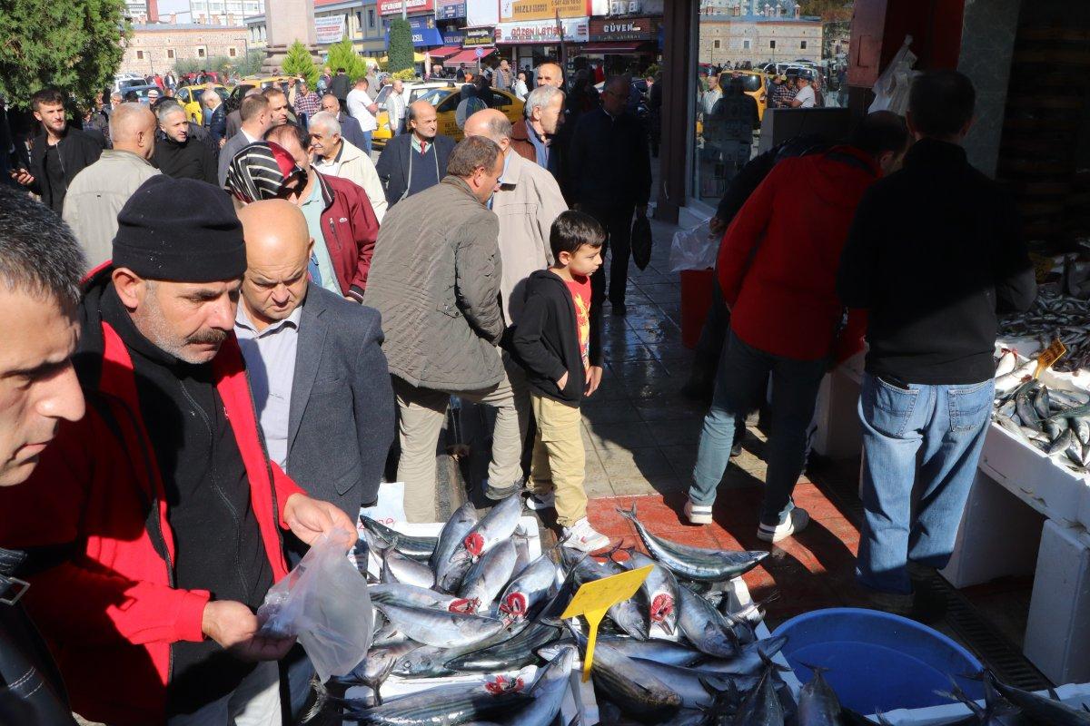 Karadeniz'de palamut bereketi: 3 tanesi 90 lira