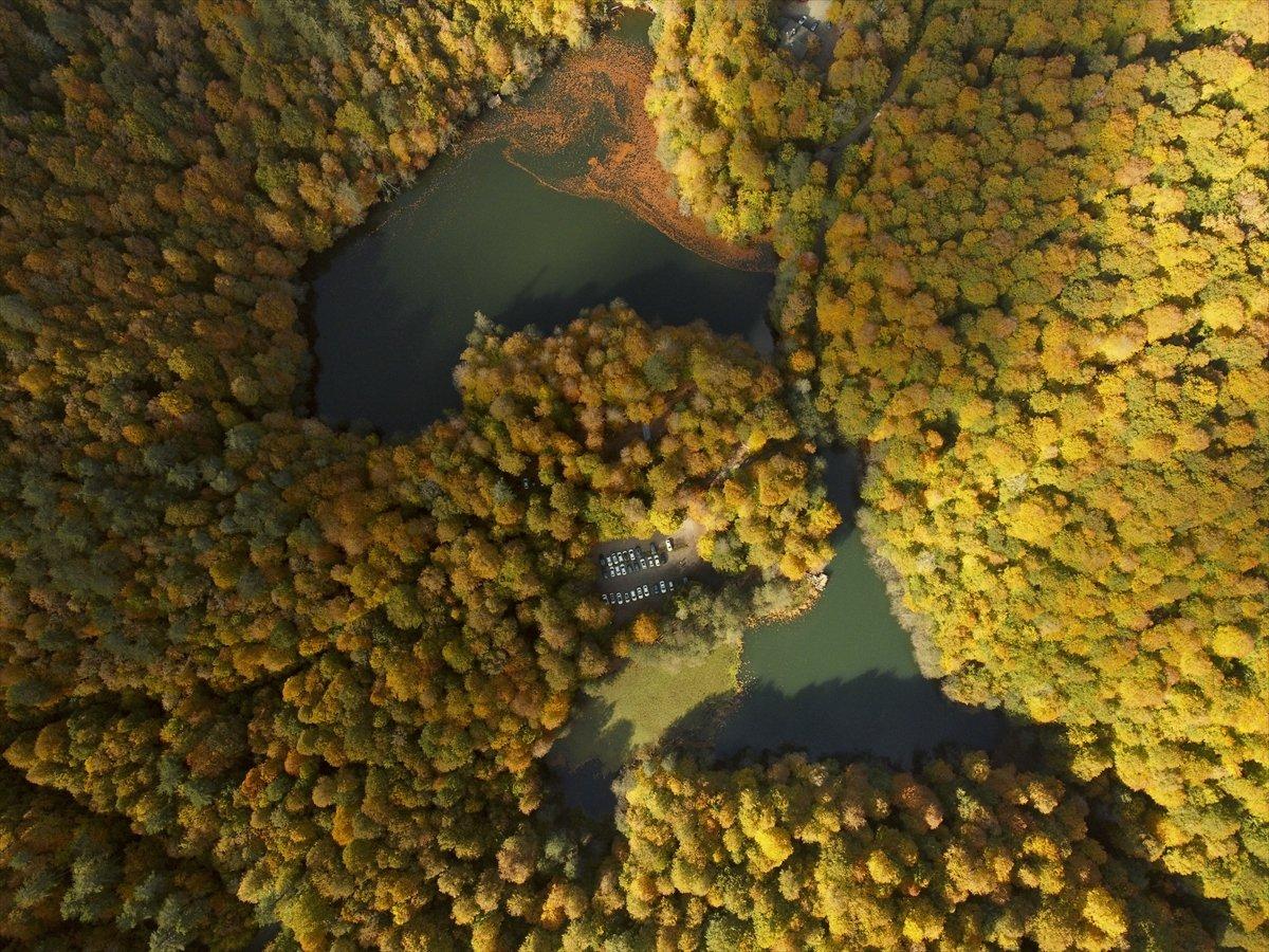 Yedigöller Milli Parkı renkli manzaralar oluşturdu