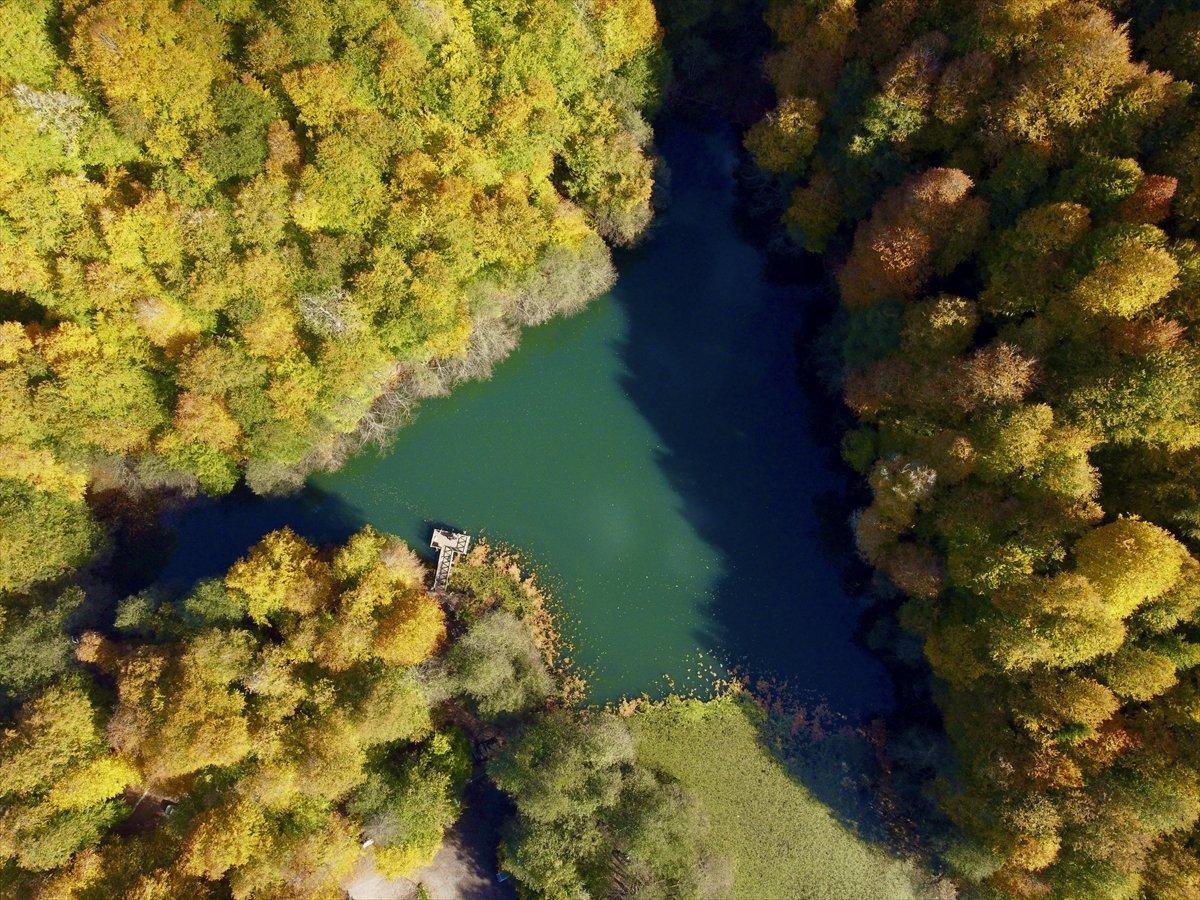 Yedigöller Milli Parkı renkli manzaralar oluşturdu