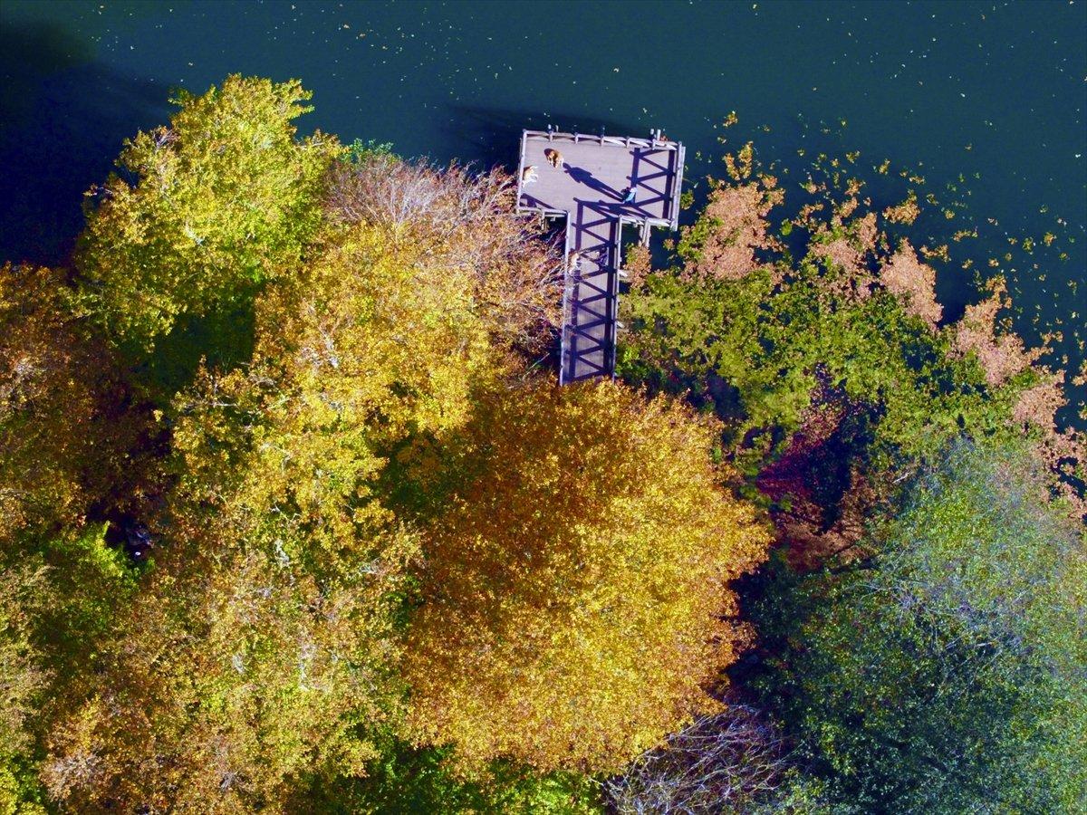 Yedigöller Milli Parkı renkli manzaralar oluşturdu