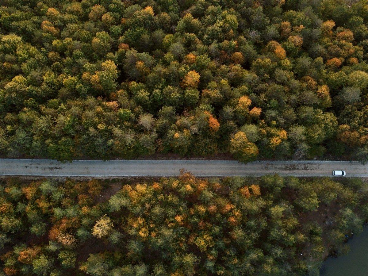 Kurugöl Tabiat Parkı'nda doğa görsel şölen sunuyor