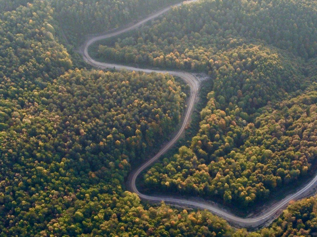 Kurugöl Tabiat Parkı'nda doğa görsel şölen sunuyor