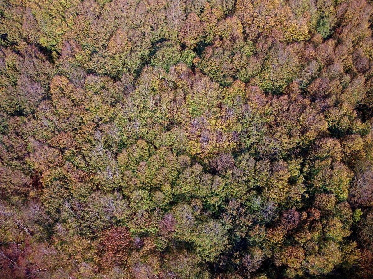 Osmaniye'nin Dumanlı Yaylası'nda eşsiz sonbahar manzarası