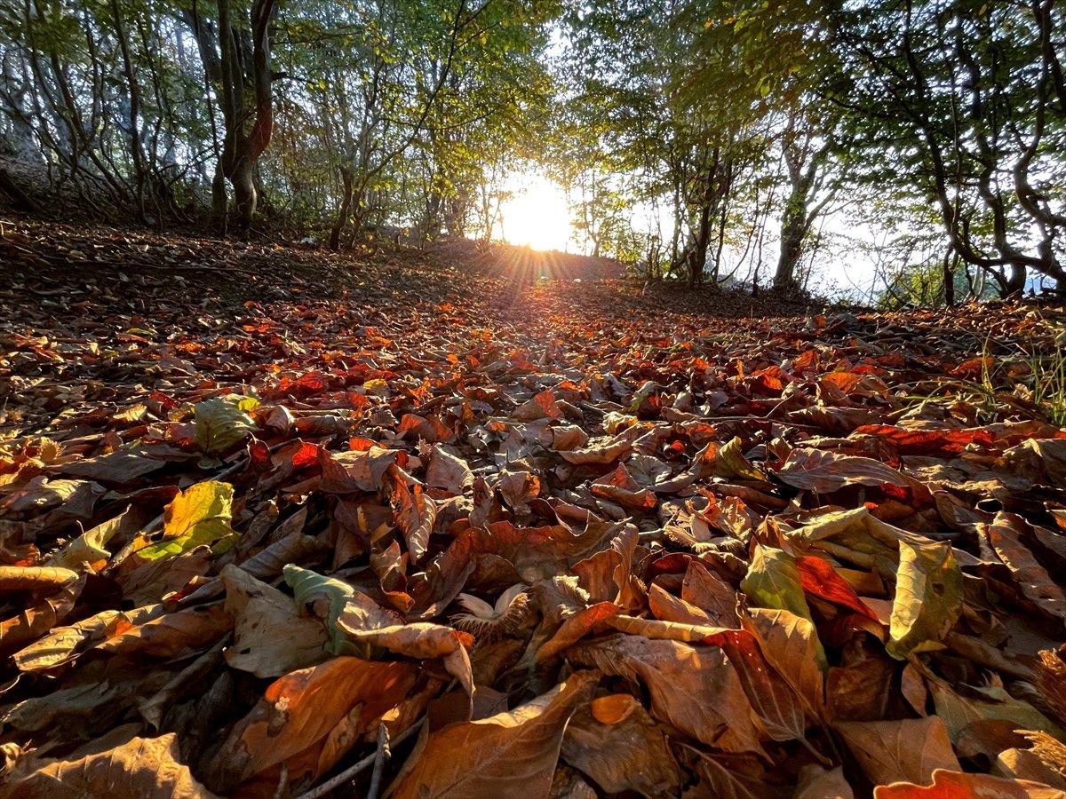 Osmaniye'nin Dumanlı Yaylası'nda eşsiz sonbahar manzarası