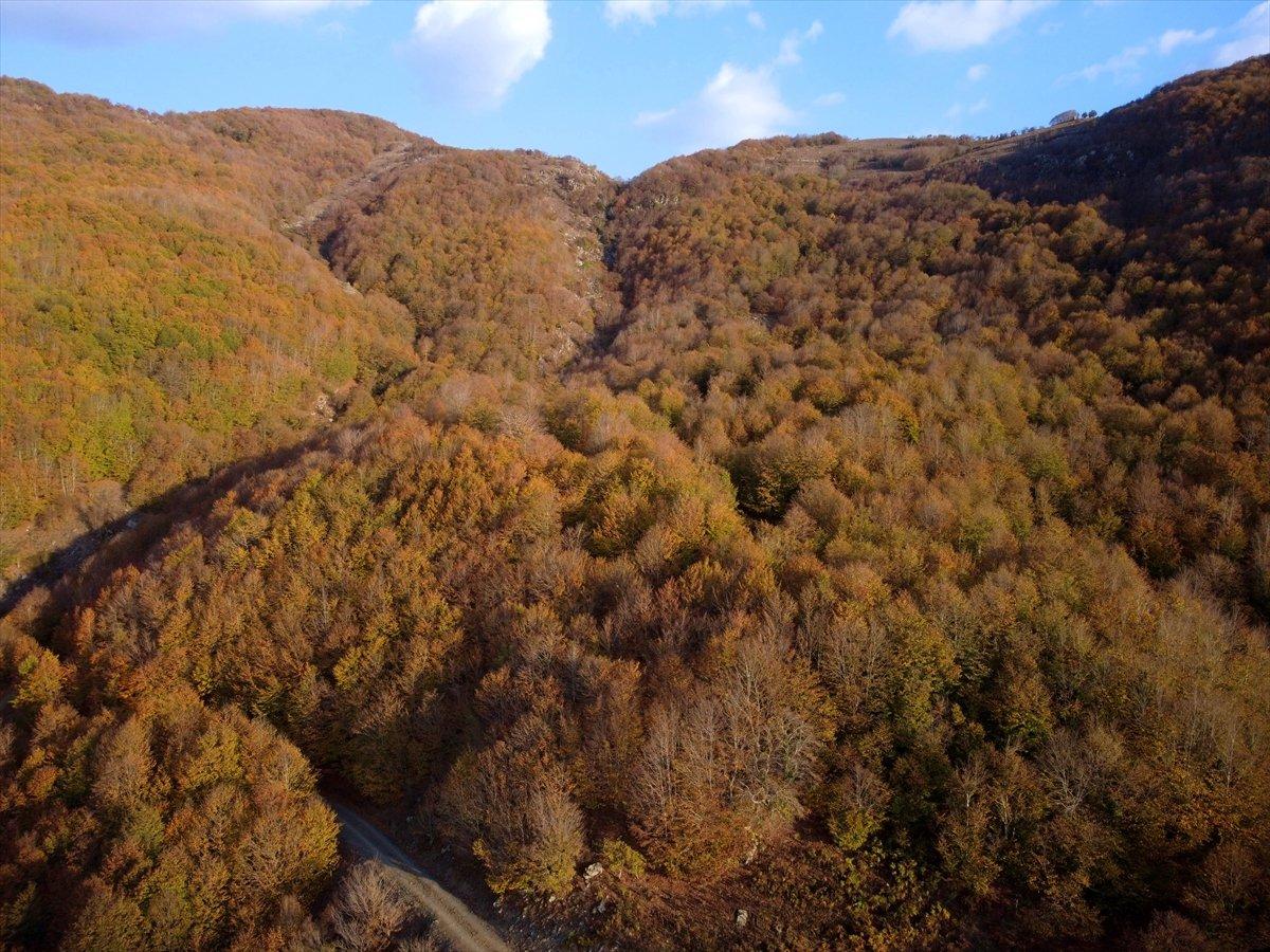 Osmaniye'nin Dumanlı Yaylası'nda eşsiz sonbahar manzarası