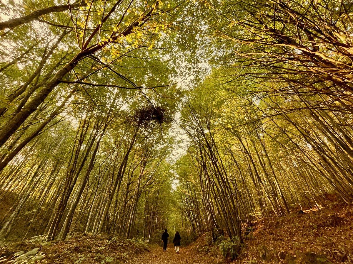 Kurugöl Tabiat Parkı'nda doğa görsel şölen sunuyor