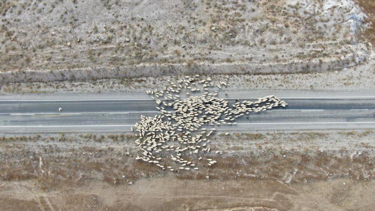 Tunceli'de besicilerin zorlu dönüş yolculuğu başladı