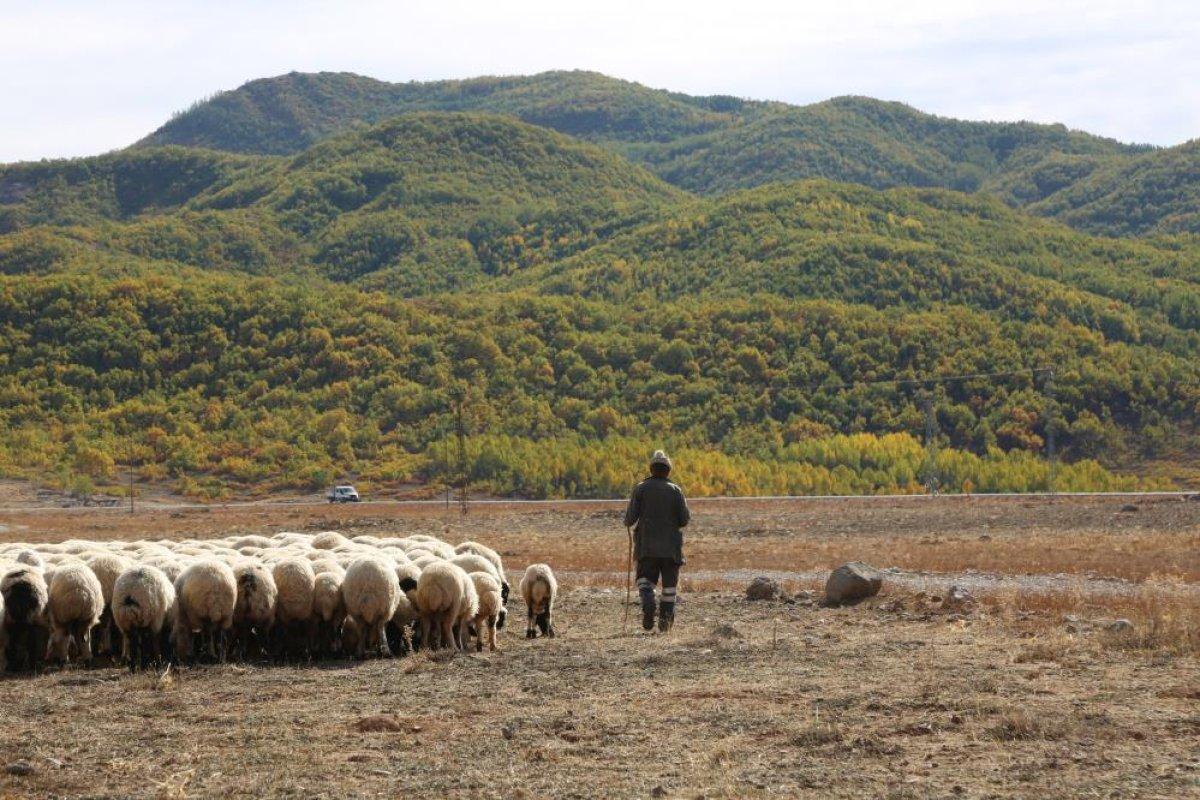 Tunceli'de besicilerin zorlu dönüş yolculuğu başladı