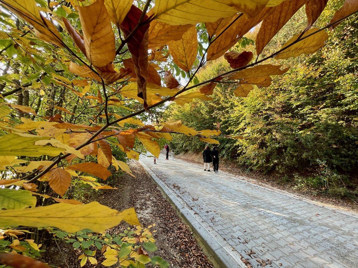 Kurugöl Tabiat Parkı'nda doğa görsel şölen sunuyor