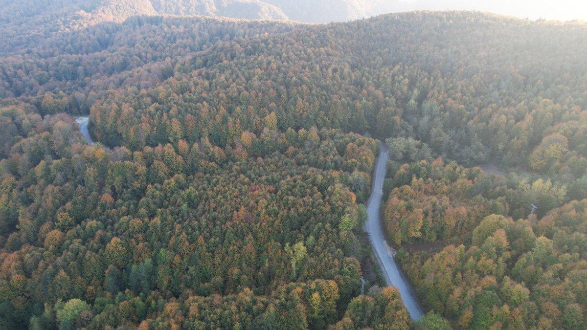 Zonguldak'taki Kent Ormanı görenleri büyülüyor