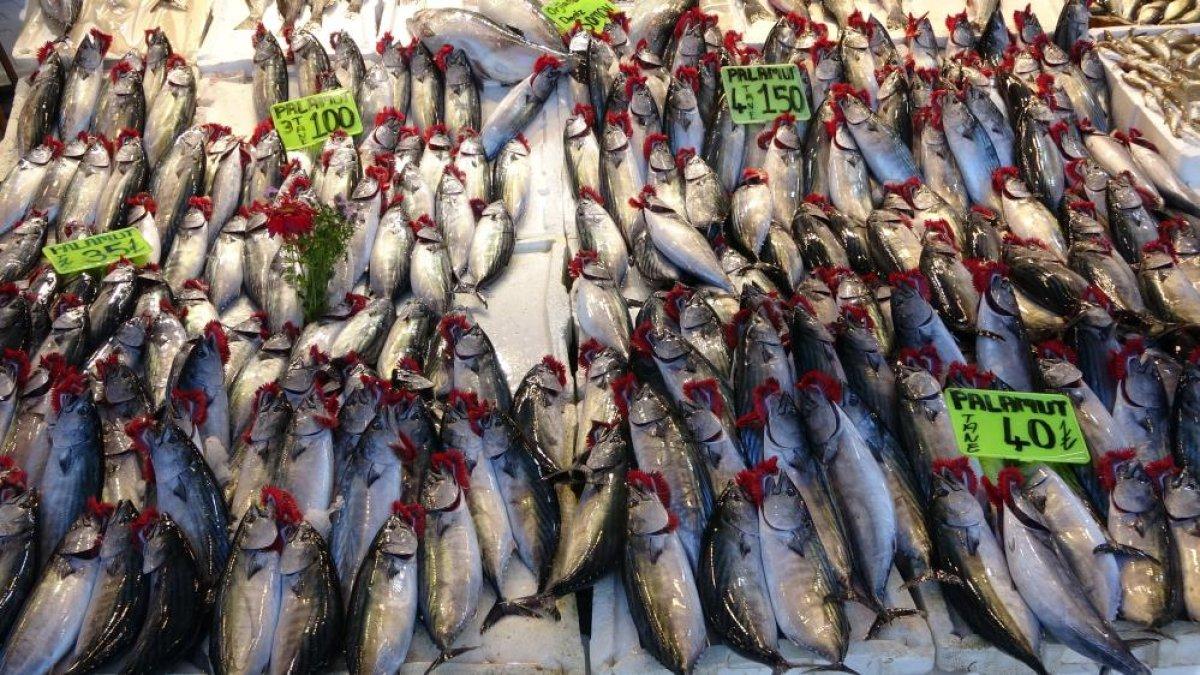 Trabzon'da son yılların en bereketli palamut dönemi yaşanıyor