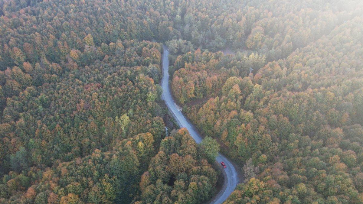 Zonguldak'taki Kent Ormanı görenleri büyülüyor