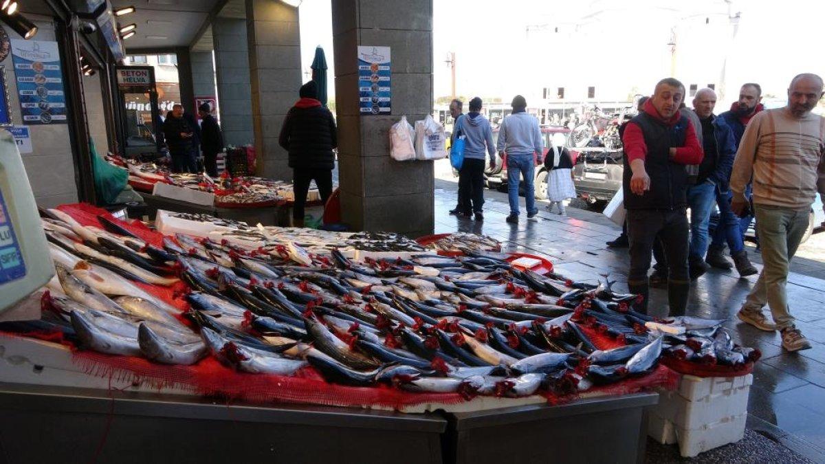 Trabzon'da son yılların en bereketli palamut dönemi yaşanıyor