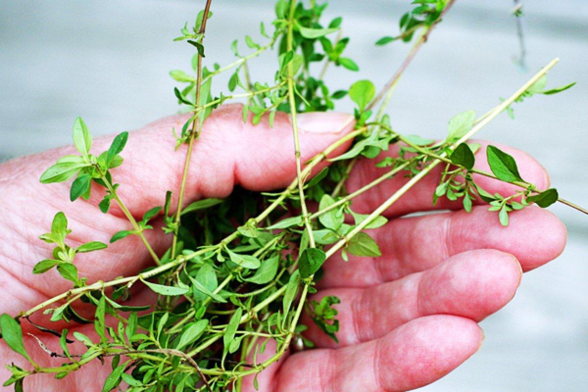 Ateş nasıl düşürülür? En etkili ateş düşürücü yöntemler!