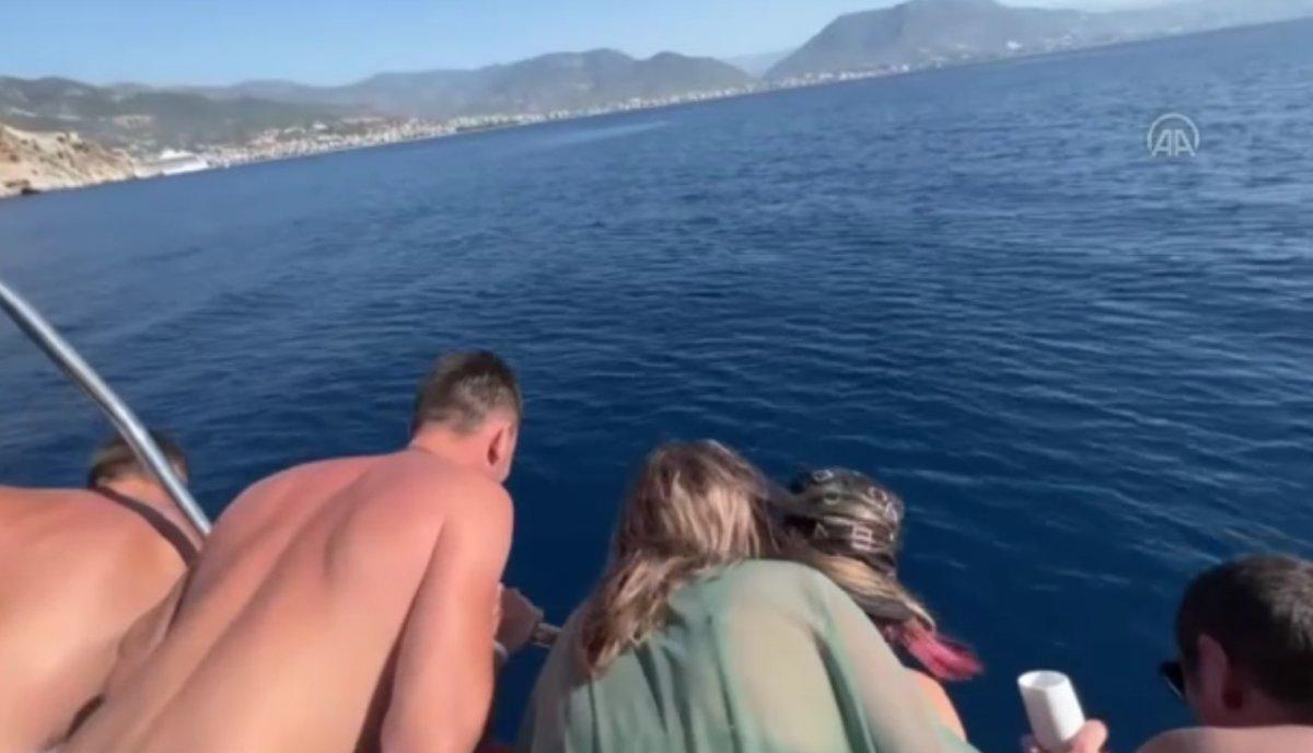 Alanya Kalesi açıklarında yunuslardan gösteri