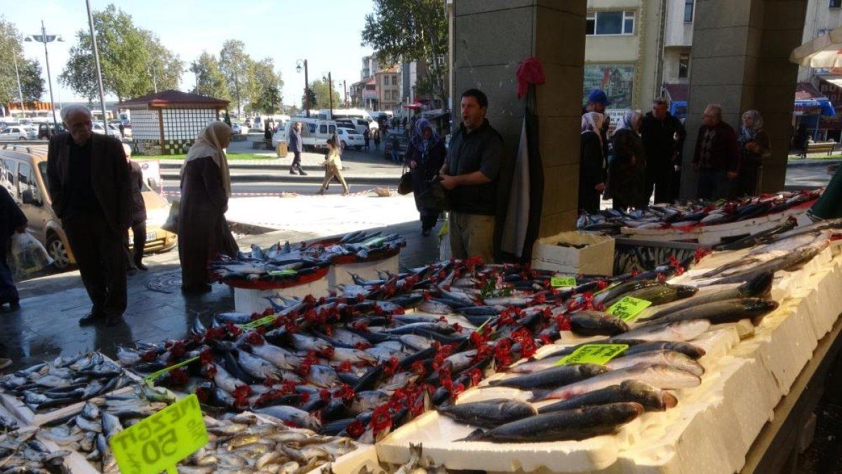 Trabzon'da son yılların en bereketli palamut dönemi yaşanıyor
