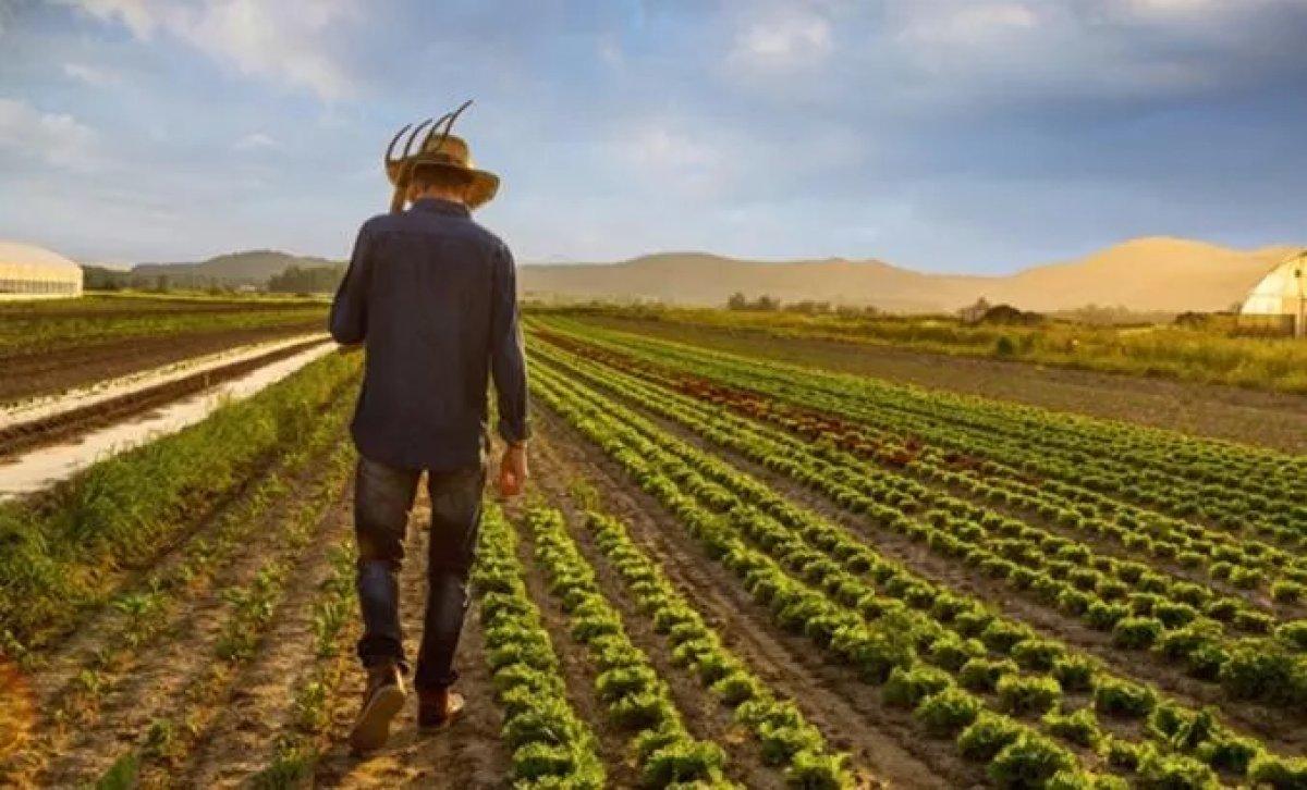 Çiftçilere müjde! Mazot ve gübre desteği yattı mı, ne zaman yatacak?