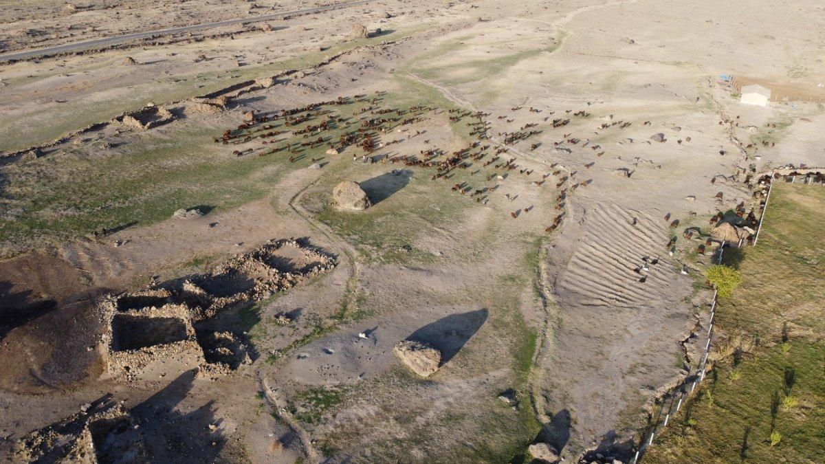 Terörden temizlenen Ağrı Dağı eteklerine 31 yıl sonra dönüş