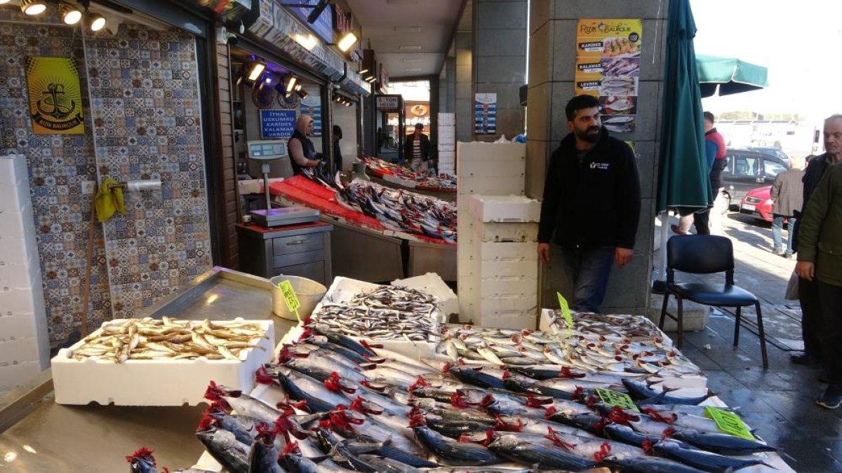 Karadeniz'de hamsi yüzünü gösterdi