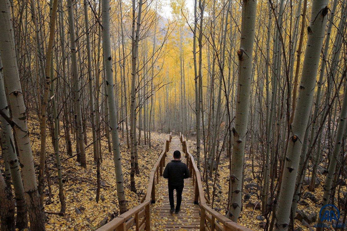 Sonbahar renkleri Erciyes'te kış sezonunu müjdeliyor