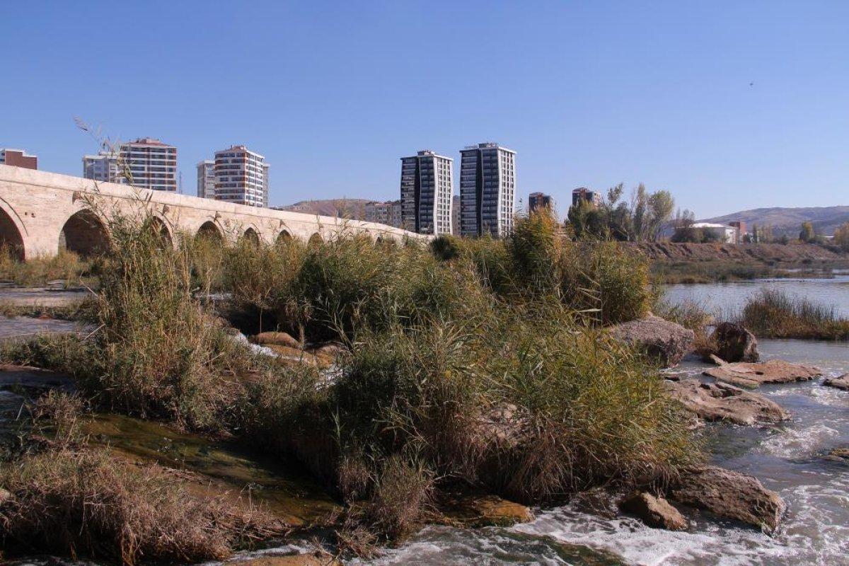 Kızılırmak, debisinin düşmesiyle otluğa dönüştü