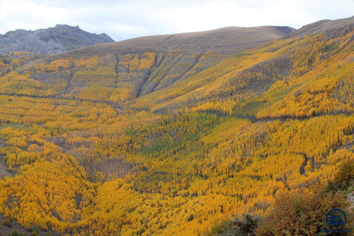 Sonbahar renkleri Erciyes'te kış sezonunu müjdeliyor