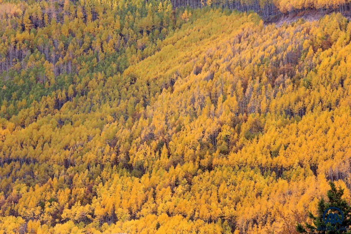 Sonbahar renkleri Erciyes'te kış sezonunu müjdeliyor