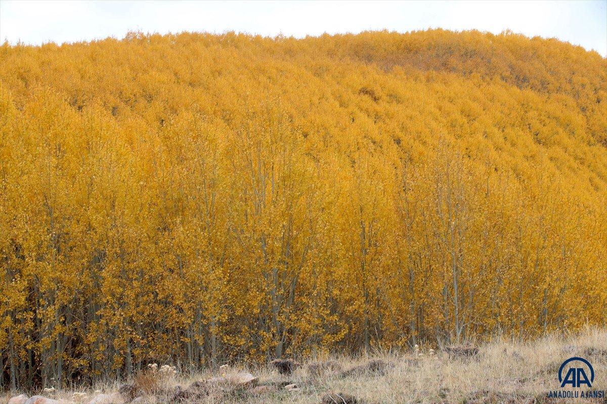 Sonbahar renkleri Erciyes'te kış sezonunu müjdeliyor