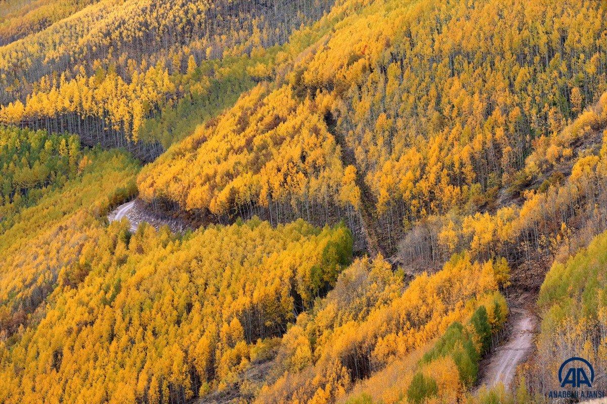Sonbahar renkleri Erciyes'te kış sezonunu müjdeliyor
