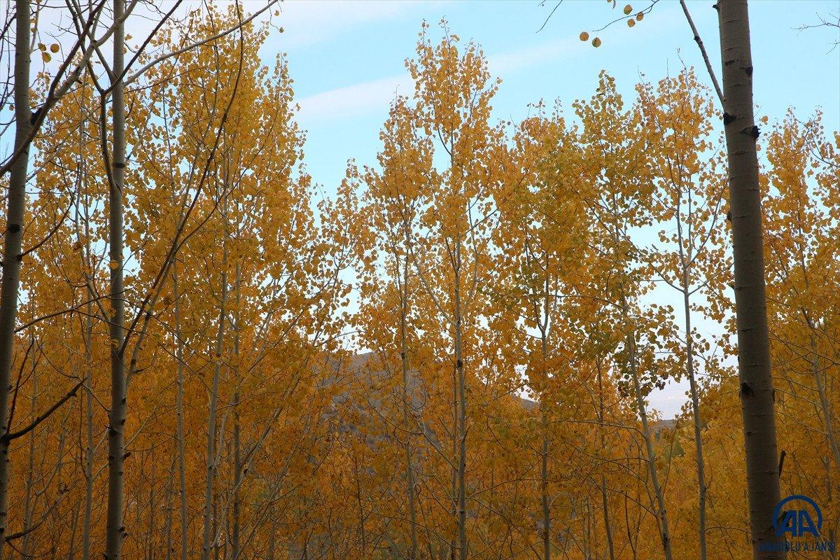 Sonbahar renkleri Erciyes'te kış sezonunu müjdeliyor