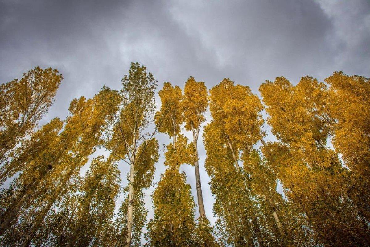 Erzincan’da sonbahar manzaraları drone ile görüntülendi