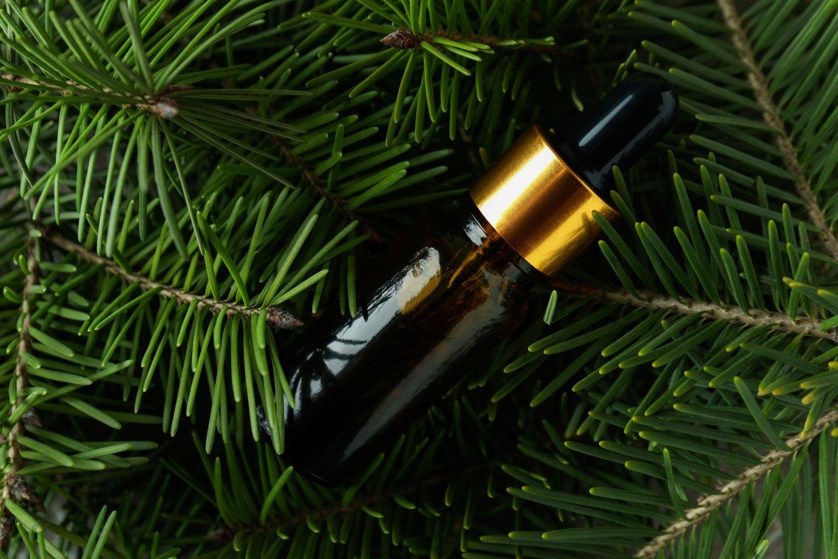 Egzersiz performansını artıran güç verici 8 besin