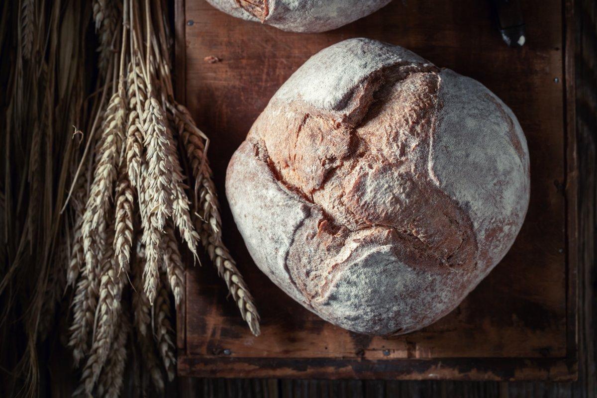 Egzersiz performansını artıran güç verici 8 besin