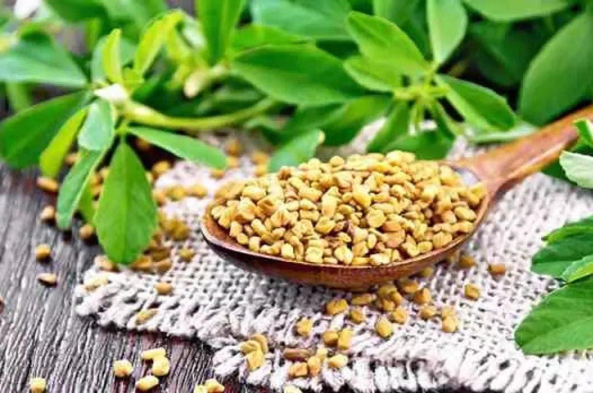 Egzersiz performansını artıran güç verici 8 besin