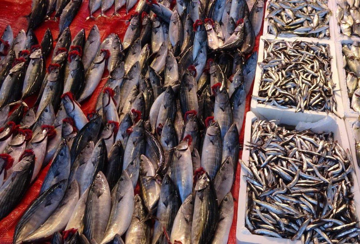 Türkiye'den 14 ülkeye yapılan hamsi ihracatında düşüş