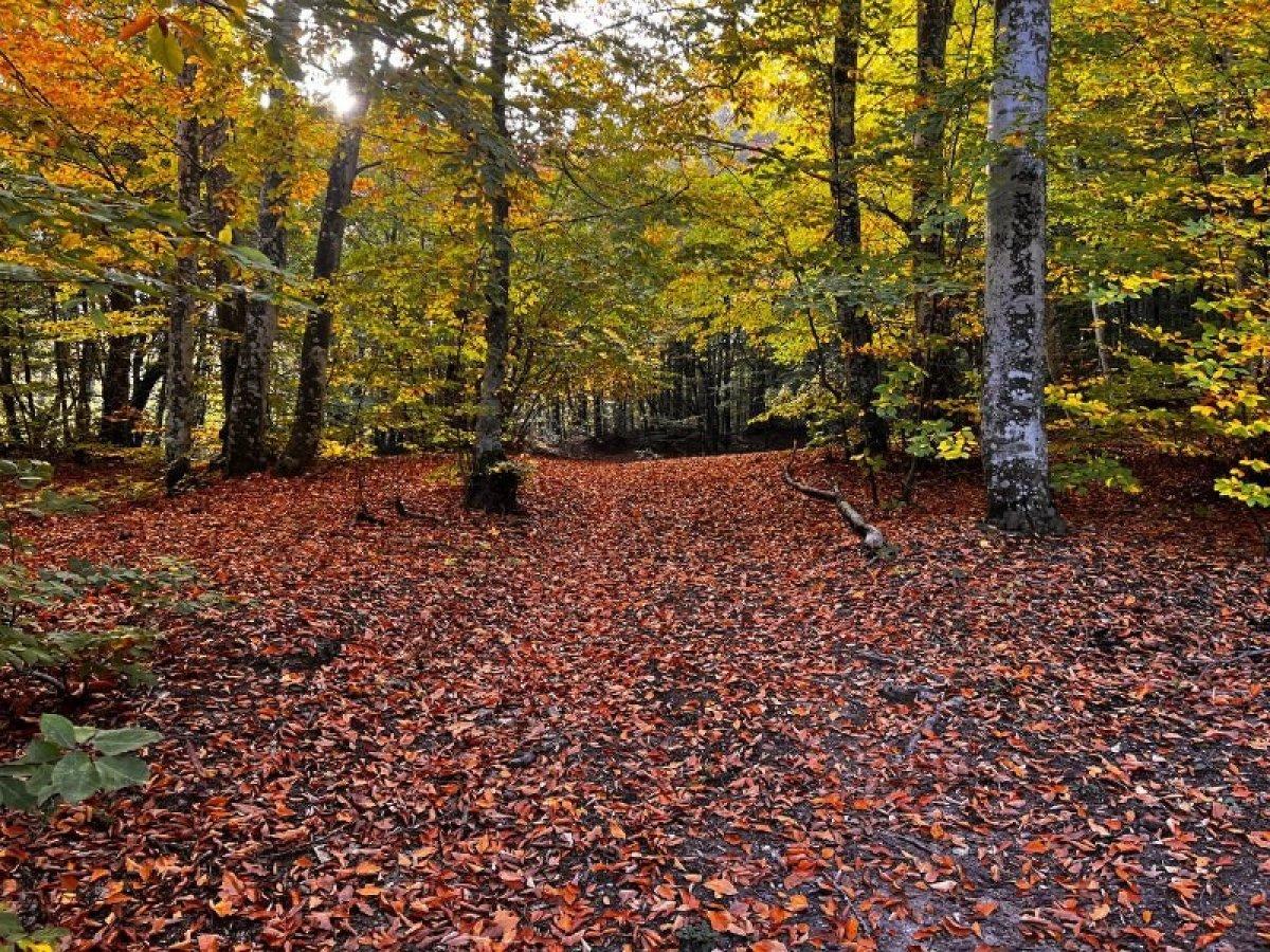 Bursa'da fay kırıklığından oluşan şelale görenleri büyülüyor
