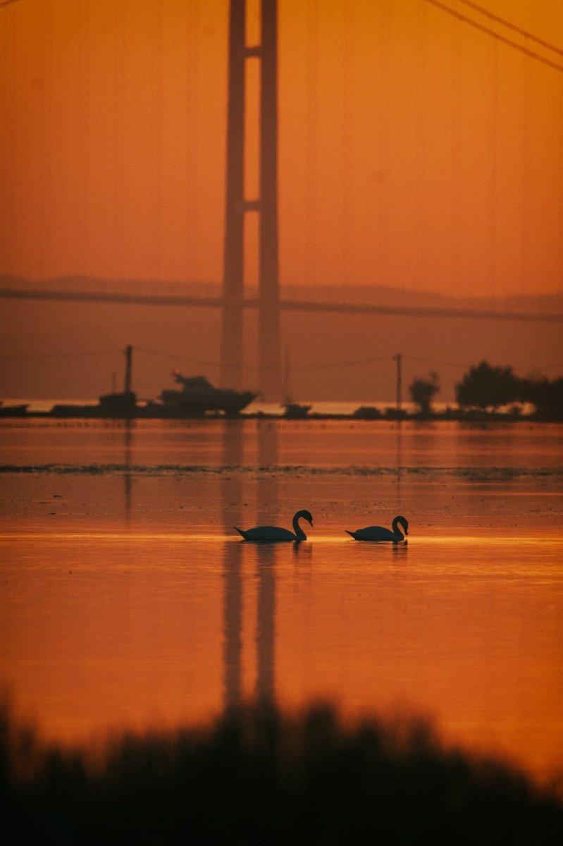 1915 Çanakkale Köprüsü'nden kartpostallık kareler