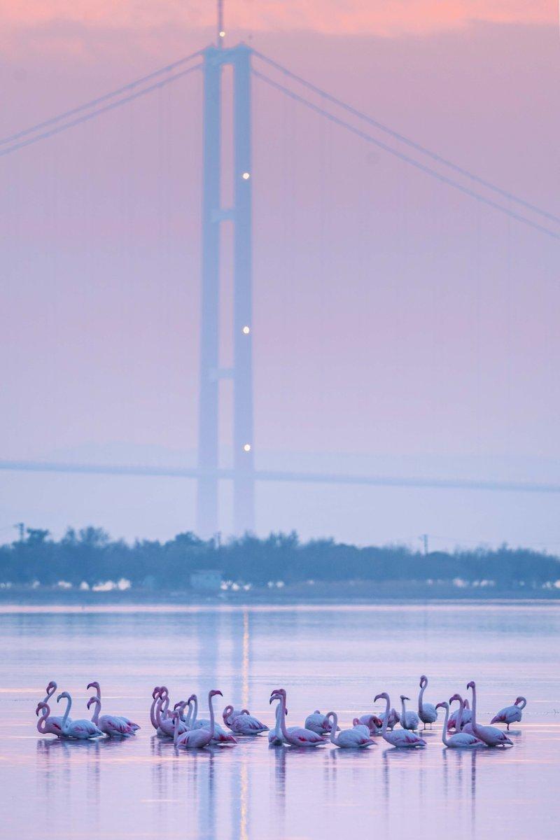 1915 Çanakkale Köprüsü'nden kartpostallık kareler