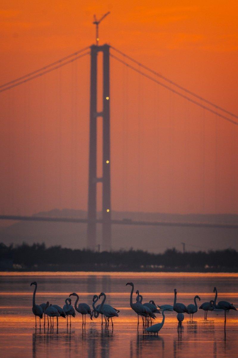 1915 Çanakkale Köprüsü'nden kartpostallık kareler