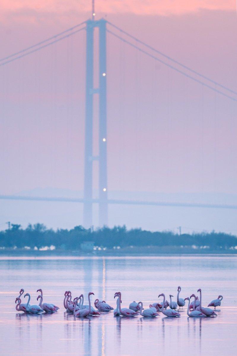 1915 Çanakkale Köprüsü'nden kartpostallık kareler