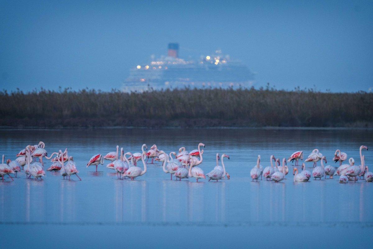 1915 Çanakkale Köprüsü'nden kartpostallık kareler