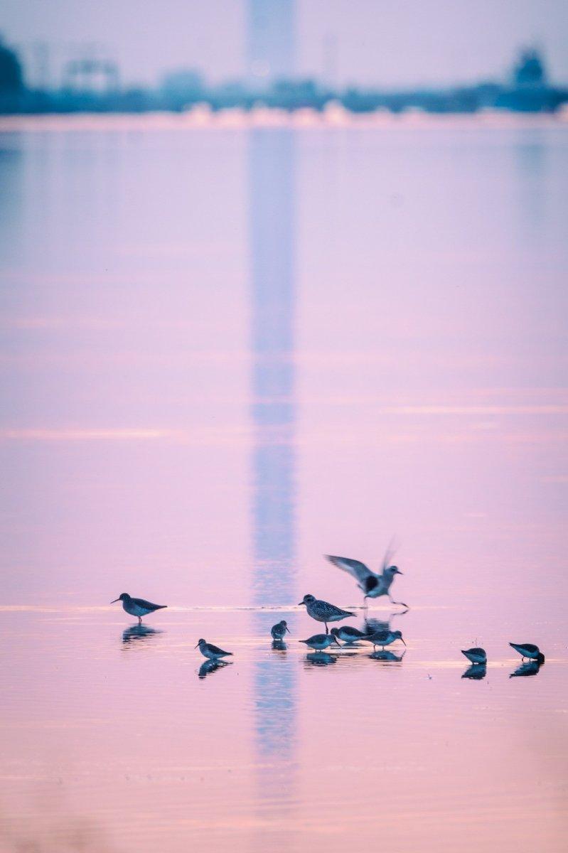 1915 Çanakkale Köprüsü'nden kartpostallık kareler