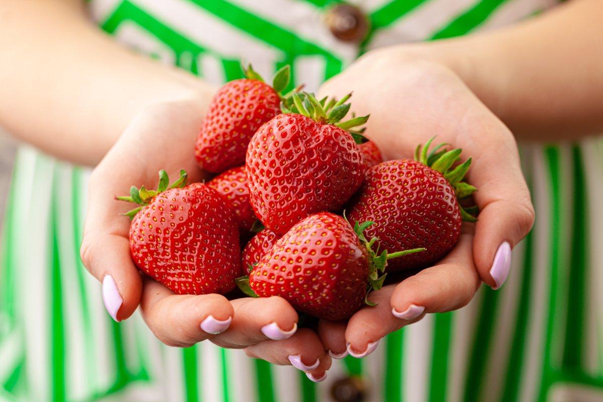 Bağışıklığı güçlendiren yiyecekler: Hastalanmamak için bunları yiyin!