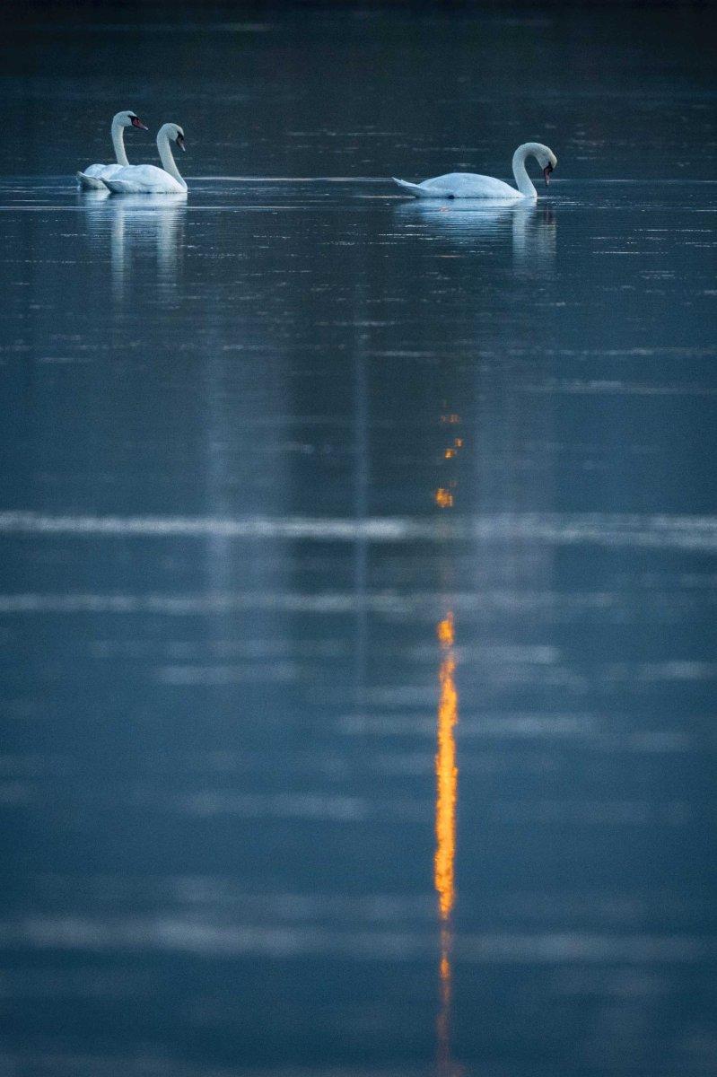 1915 Çanakkale Köprüsü'nden kartpostallık kareler