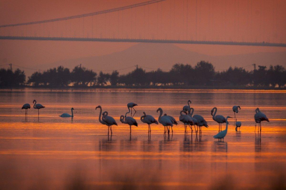 1915 Çanakkale Köprüsü'nden kartpostallık kareler