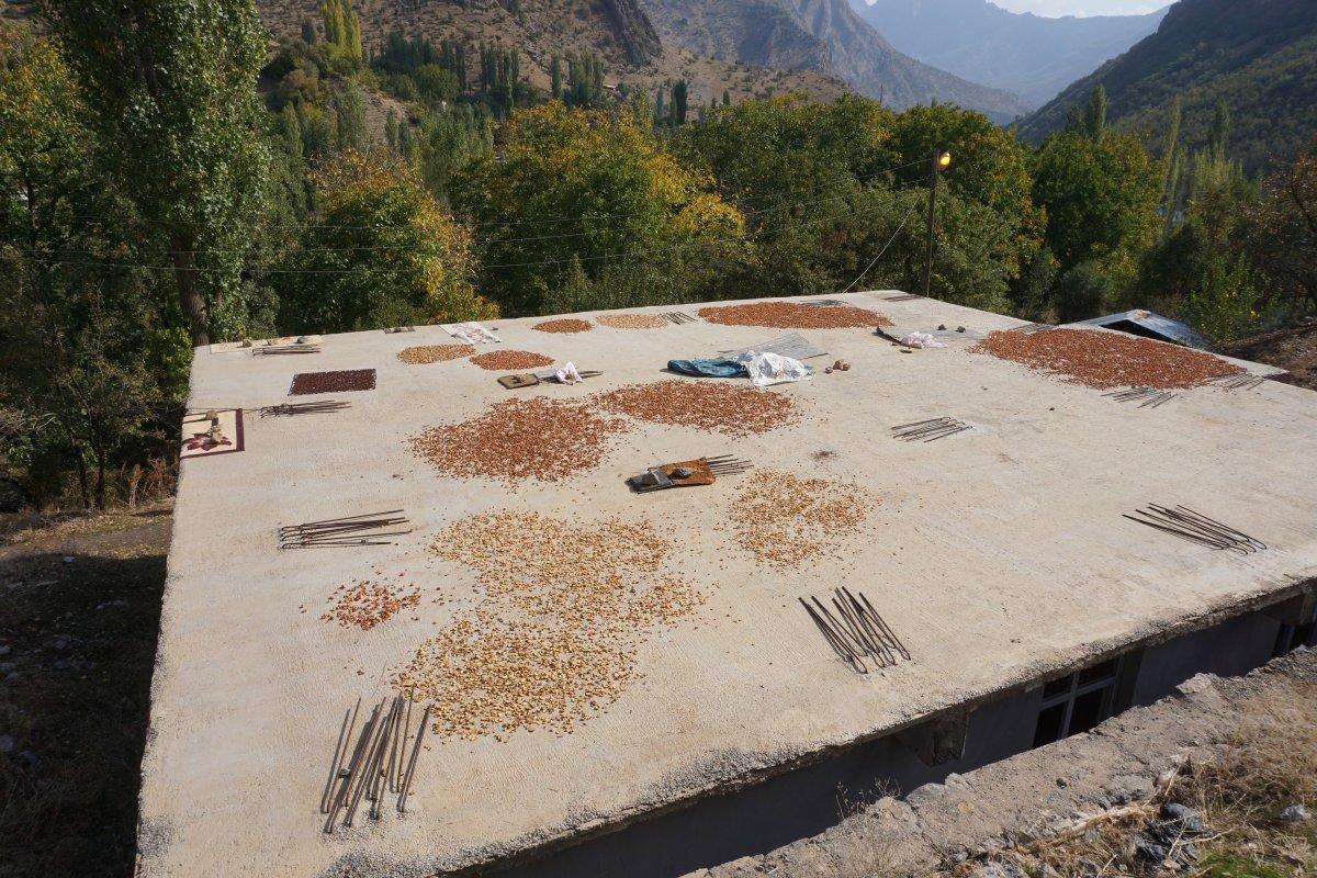 Şırnak’ta kış öncesi meyveler kurutulup, salçalar yapıldı