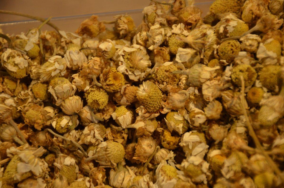 Şırnak’ta kış öncesi meyveler kurutulup, salçalar yapıldı